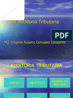 Auditoria_tributaria_VGE