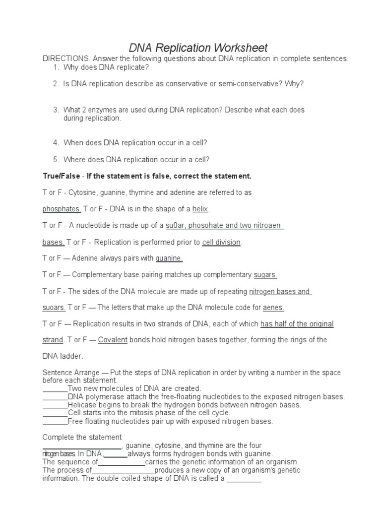 DNA Replication Worksheet  PDF  Dna Replication  Dna Within Dna Replication Worksheet Key