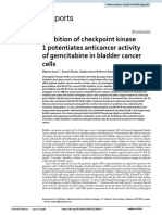 Inhibition of Checkpoint Kinase 1 Potentiates Anticancer Activity of Gemcitabine in Bladder Cancer Cells