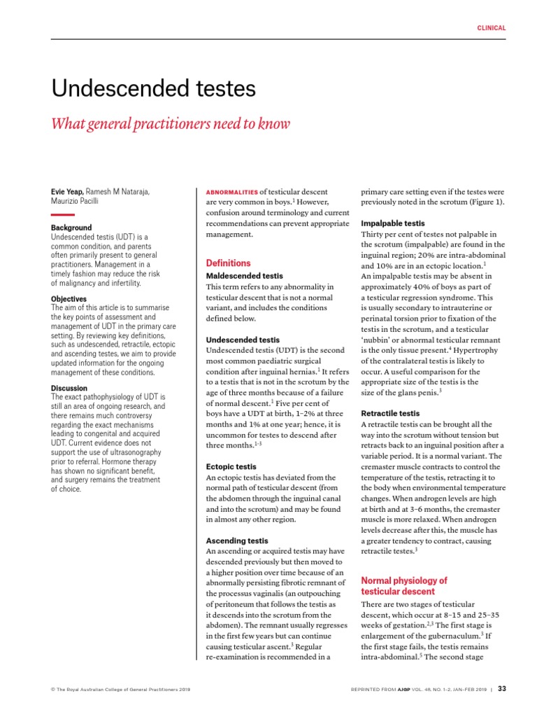 Undescended Testes What General Practitioners Need To Know PDF Testicle Sexual Anatomy