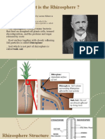 Present Plant Science - Đ C