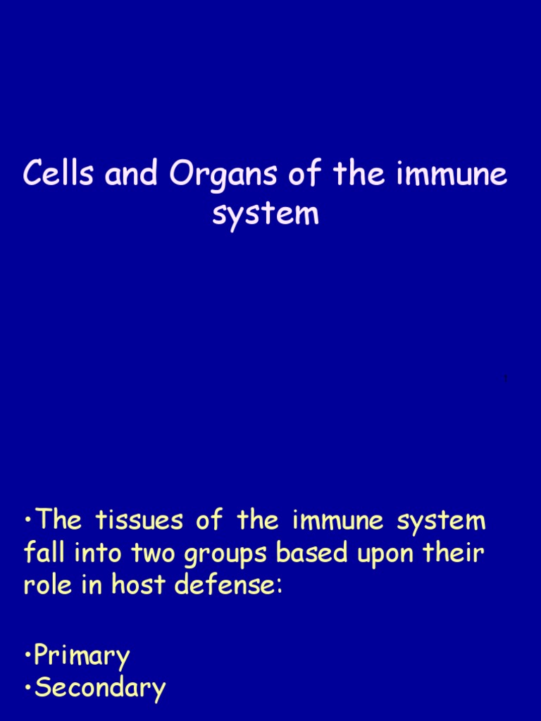 Immune System Cells and Organs Overview | PDF | Cell Biology ...
