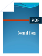13 Normal Flora