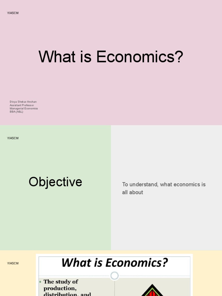 Understanding the Basics of Economics | PDF