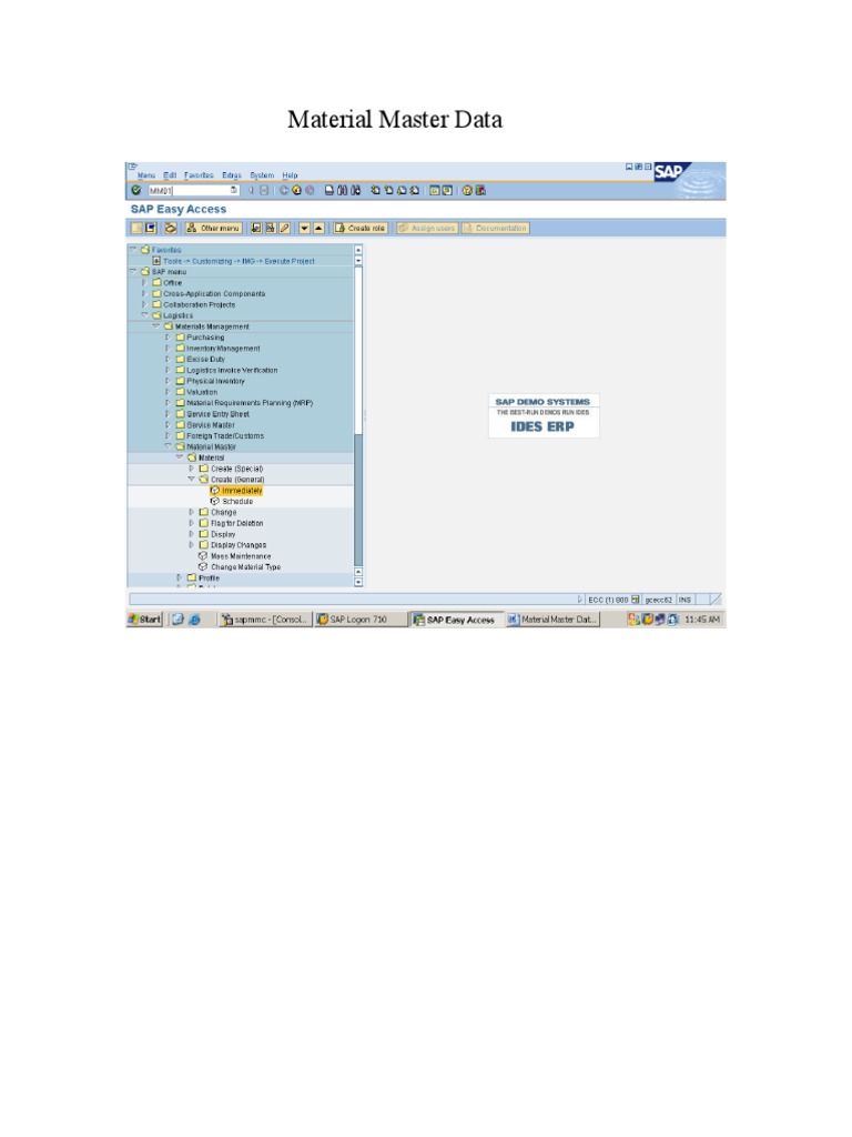 Material Master Data | PDF