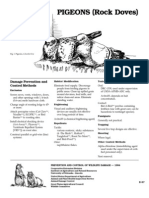 PIGEONS (Rock Doves) : Damage Prevention and Control Methods