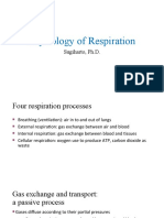 4. Physiology of Respiration (1)