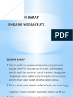 Sistem Saraf-Final