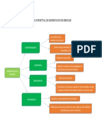 Mapa Conceptual de Segmentacion de Mercado