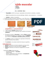 Tejido muscular: características y tipos