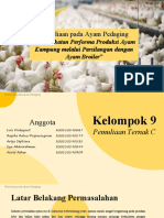 Pemuliaan Pada Ayam Pedaging Kelompok 9