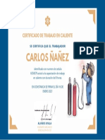 Certificado de Trabajo en Caliente Carlos Ñañez