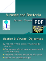 6th Grade Science Chapter 2 Viruses and Bacteria