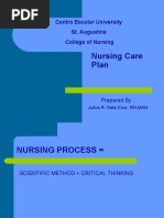 Nursing Care Plan: Centro Escolar University St. Augustine College of Nursing