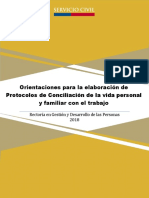 Actualización Orientaciones para La Elaboración de Protocolos Conciliación