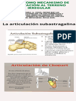 El PIE COMO MECANISMO DE ADAPTACIÓN AL TERRENO IRREGULAR Infographics