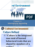 Cultural Environment Chapter