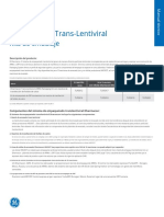Trans Lentiviral Packaging Manual - En.es