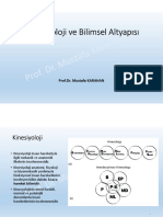 Kinesiyolojii & Fasya