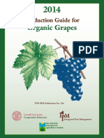 Organic Grapes: Production Guide For