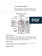 Articulacion Del Hombro