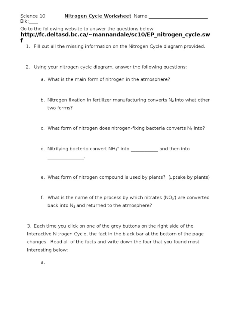 Nitrogen Cycle Worksheet Name | PDF | Nitrogen | Systems Ecology