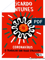 ANTUNES, Ricardo. Coronavírus O trabalho sob fogo cruzado (Pandemia Capital). 1 Ed. BoiTempo, 2020. (2)