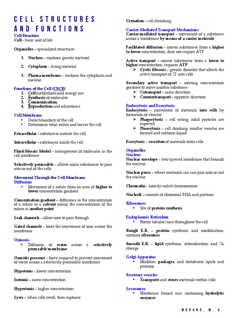 3 Cell Structures Functions | PDF | Cell Membrane | Endoplasmic Reticulum