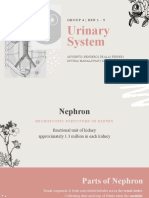 Urinary System: G R O U P 4 - B S N 1 - 5