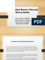 Comunidad Barrio Chicala