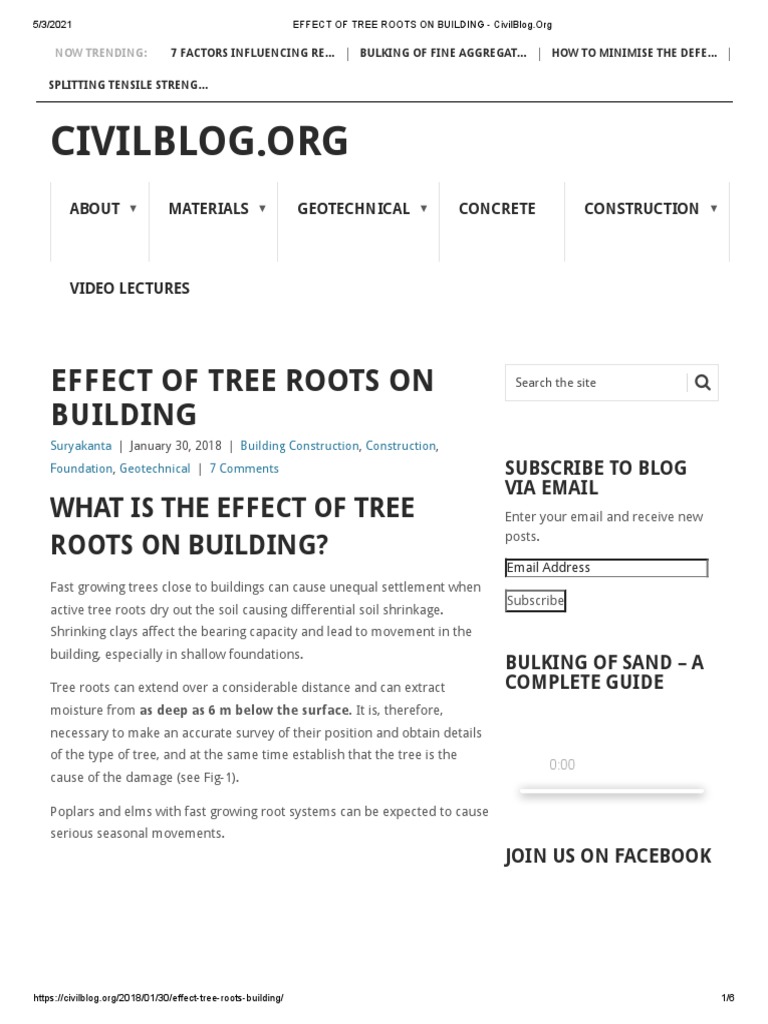Effect of Tree Roots On Building | PDF | Root | Geotechnical Engineering