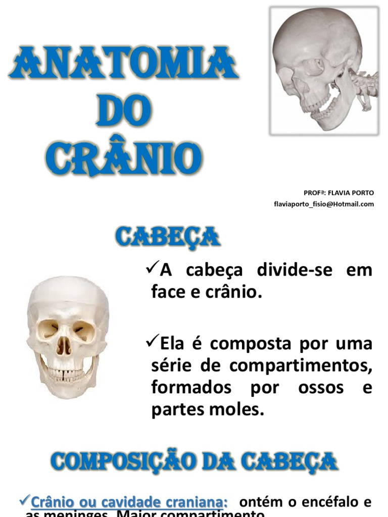 Anatomia do Crânio e Suas Partes | PDF | Crânio | Zoologia