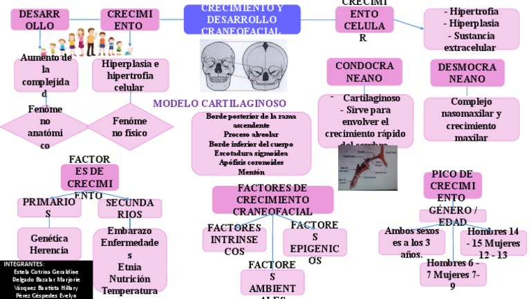 Crecimiento Y Desarrollo Craneofacial PDF Especialidades Medicas 