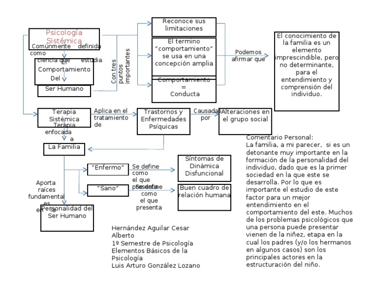 Psicologia Sistemica Comportamiento Sicología y ciencia cognitiva