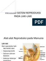 Patologi Sistem Repro Laki-Laki