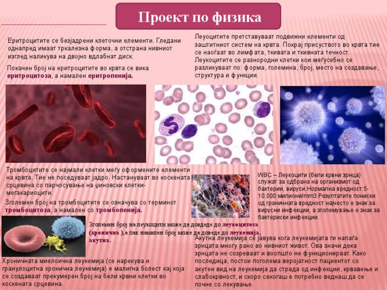 Крв | PDF
