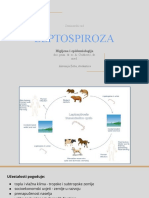 Seminarski Rad LEPTOSPIROZA