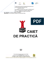 Caiet Practica Final
