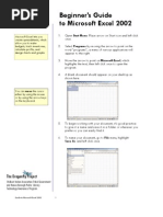 Beginner's Guide To Microsoft Excel 2002: The Dragonfly Project