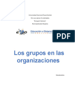 ENSAYO SOBRE LOS GRUPOS EN LAS ORGANIZACIONES TAREA 3 MODULO II