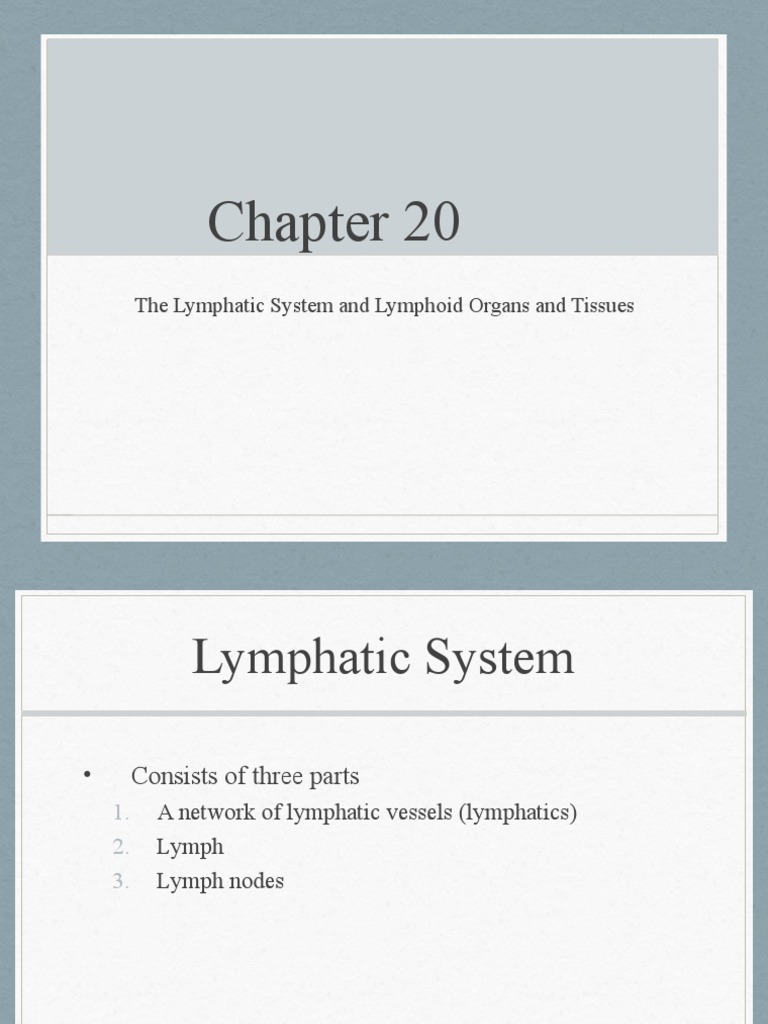 The Lymphatic System and Lymphoid Organs and Tissues | PDF | Lymph Node ...
