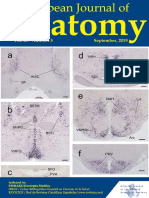 Morphohistometric Study of the Ligamentum Flavum in Cervical, Thoracic and Lumbar Vertebrae Comparative Approach