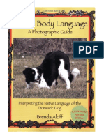 Canine Body Language A Photographic Guid
