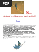 Ce Face Zincul Pentru Organism