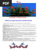 Prelungirea longevitatii