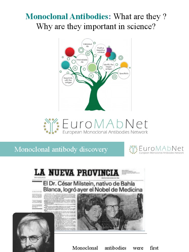 Monoclonal Antibodies What They Are and How To Make Them.v2 PDF