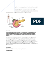 PANCREAS