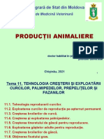 Tema 11_ro