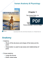 Chapter 1 Anatomy