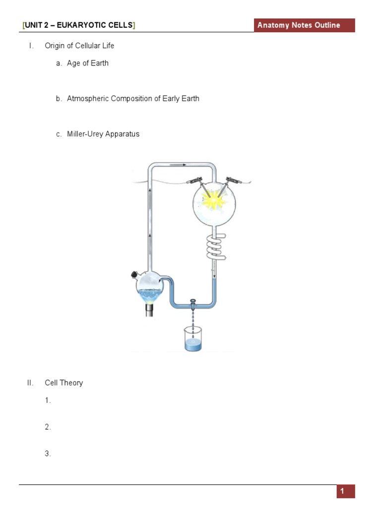 Eukaryotic Cell Structure and Function Noted | PDF | Cell (Biology ...